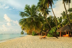 Hotel SUN SIYAM VILU REEF MALDIVES wakacje