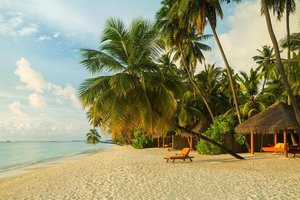 Hotel SUN SIYAM VILU REEF wakacje
