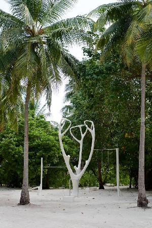 Hotel COCOON MALDIVES wakacje