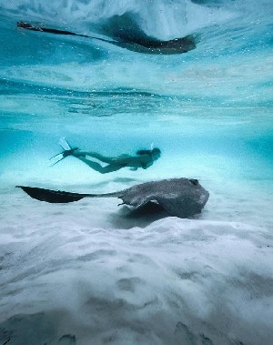 Hotel COCOON MALDIVES wakacje