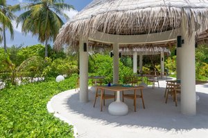 Hotel COCOON MALDIVES wakacje