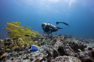 Hotel FUSHIFARU wakacje