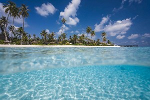 Hotel FUSHIFARU wakacje