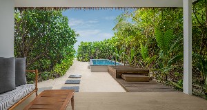 1 king bed + 1 sofa bed or 1 crib