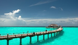 Hotel SUN SIYAM IRU FUSHI wakacje