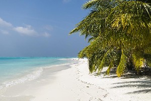 Hotel MEERU ISLAND RESORT & SPA wakacje