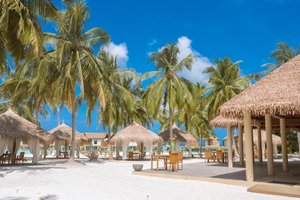 Hotel REETHI FARU RESORT wakacje