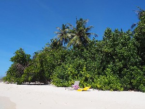 Hotel EMBUDU VILLAGE wakacje