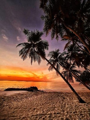 Hotel FIHALHOHI ISLAND RESORT wakacje