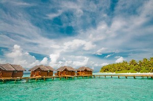 Hotel FIHALHOHI ISLAND RESORT wakacje