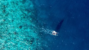 Hotel FIHALHOHI ISLAND RESORT wakacje