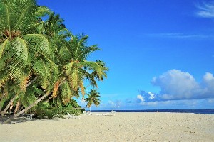 Hotel FIHALHOHI ISLAND RESORT wakacje