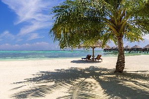 Hotel SUN SIYAM OLHUVELI BEACH & SPA RESORT wakacje