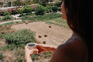 Hotel REEF HOTEL & SPA wakacje