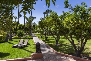 Hotel MEDINA GARDENS MARRAKECH wakacje