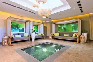 Spa and wellness