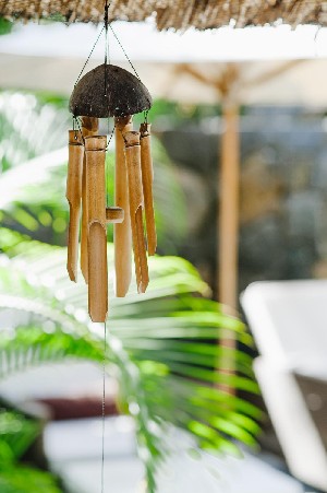 Hotel COIN DE MIRE ATTITUDE wakacje