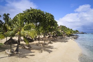 Hotel THE WESTIN TURTLE BAY RESORT & SPA wakacje
