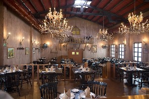 Hotel GOLDEN PARNASSUS RESORT & SPA ADULTS ONLY wakacje