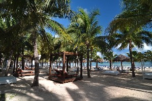 Hotel OASIS PALM wakacje