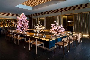 Hotel MAJESTIC ELEGANCE COSTA MUJERES wakacje