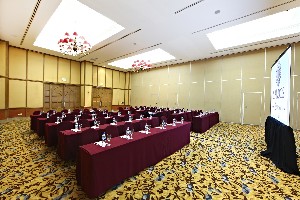 Conference Facilities