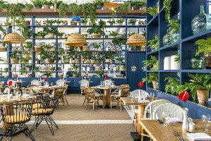 Hotel OCEAN RIVIERA PARADISE - EL BESO wakacje