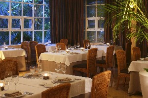 Hotel CATALONIA ROYAL TULUM wakacje