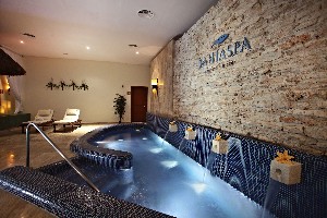 Spa and wellness