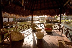 Interior miscellaneous