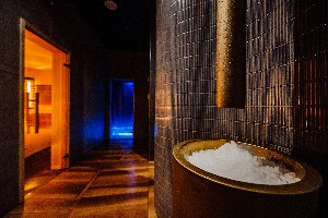 Hotel ELEMENTS HOTEL & SPA wakacje