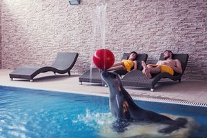 Hotel SOFRA HEALTH INSTITUTE FIT & SPA KARPACZ wakacje