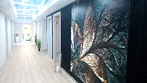 Hotel HAMILTON wakacje