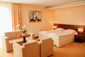 Hotel KRÓL PLAZA SPA & WELLNESS wakacje