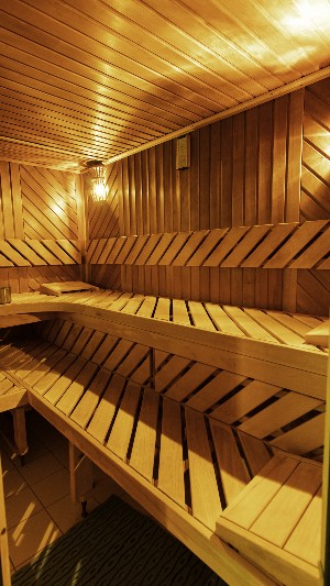 Hotel PAULA WELLNESS & SPA wakacje