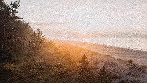 Hotel SALTIC RESORT & SPA GRZYBOWO wakacje