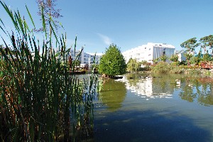 Hotel SANDRA SPA POGORZELICA wakacje