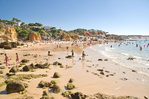 Interior miscellaneous