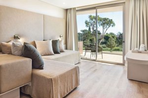 Standard Suite (Balcony or Terrace Adults Only)