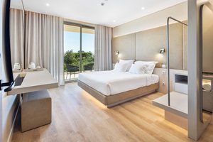 Double/Twin Room (Balcony or Terrace)