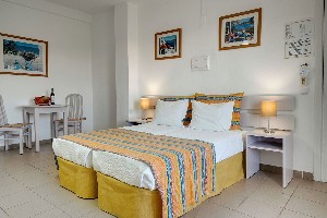 Studio (Balcony or Terrace)