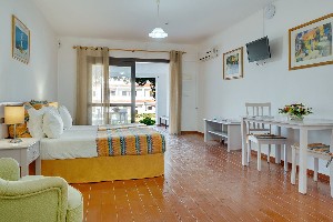 Studio (Balcony or Terrace)