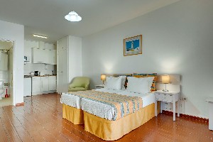 Studio (Balcony or Terrace)