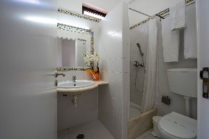 Studio (Balcony or Terrace)