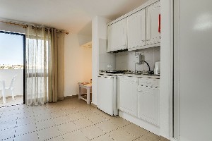 Studio (Balcony or Terrace)