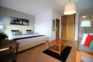 Studio (Balcony or Terrace)