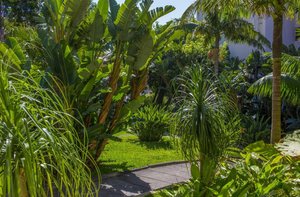 Hotel BUGANVILIA STUDIO HOTEL wakacje