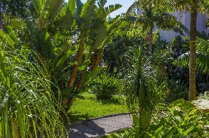 Hotel BUGANVILIA wakacje