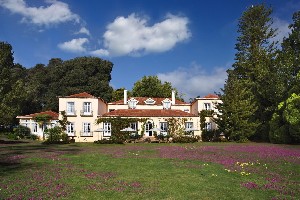 Hotel CASA VELHA DO PALHEIRO wakacje