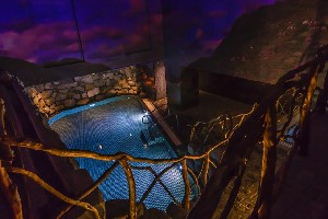 Hotel ENOTEL LIDO RESORT CONFERENCE AND SPA wakacje